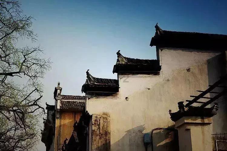 恐龙绝地逃生